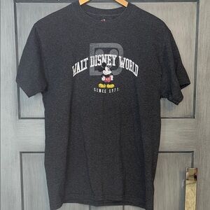 Disney Men's Dark Gray Walt Disney World T-Shirt size Medium